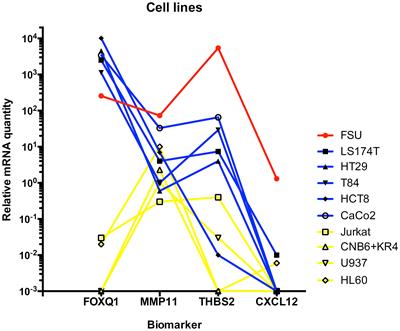 Detection of lymph node metastasis in colon cancer by ectopically expressed fibroblast markers FOXQ1 and THBS2